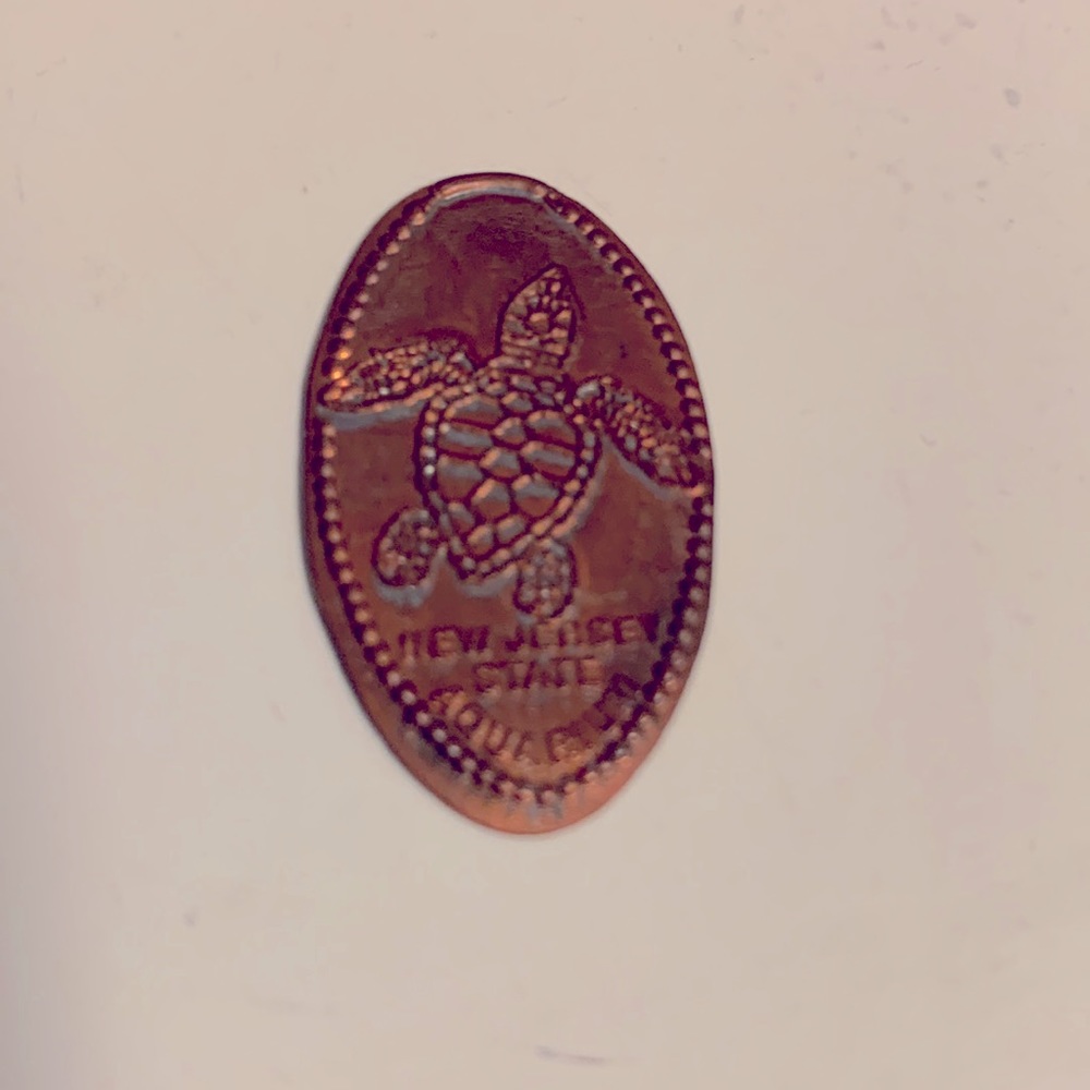 Turtle from the New Jersey State Aquarium - Elongated coin